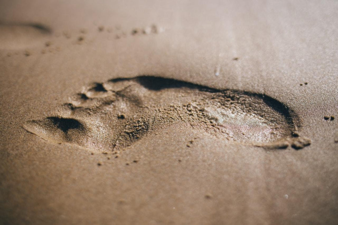 How To Reduce Carbon Footprints: All You Need To Know